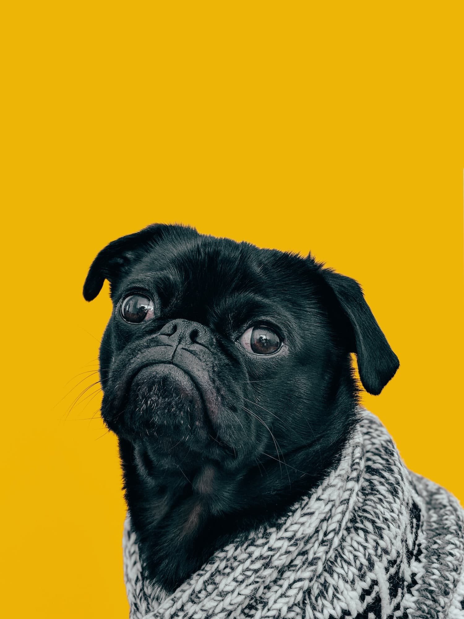 Cover image for Boilerplate markdown,rehype and gfm